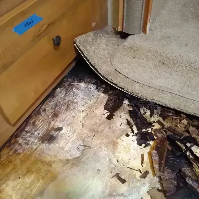 Wood Floor Water Damage in Dale County, AL